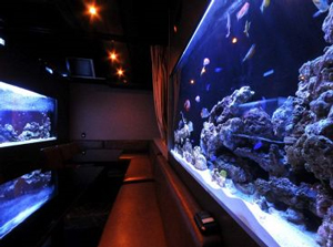 AQUARIUM _CjO z(RIN)